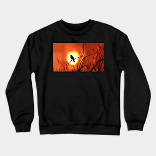 The Last Song Bird Sings to the Fire Dawn Crewneck Sweatshirt